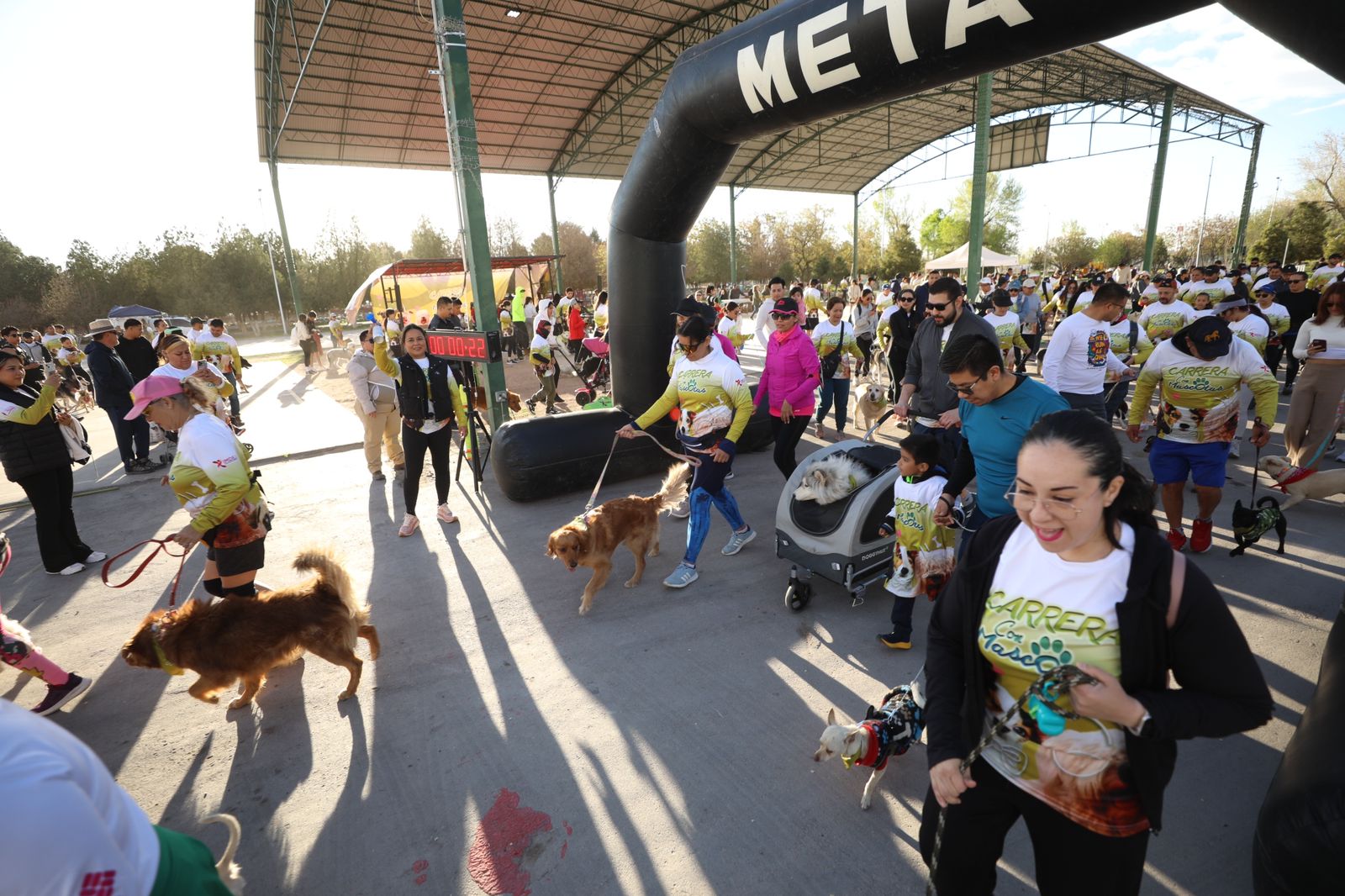 66005f7e56e40  66005f7e56e42