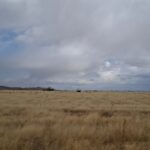 WhatsApp Image 2026 03 23 at 2.00.19 PM