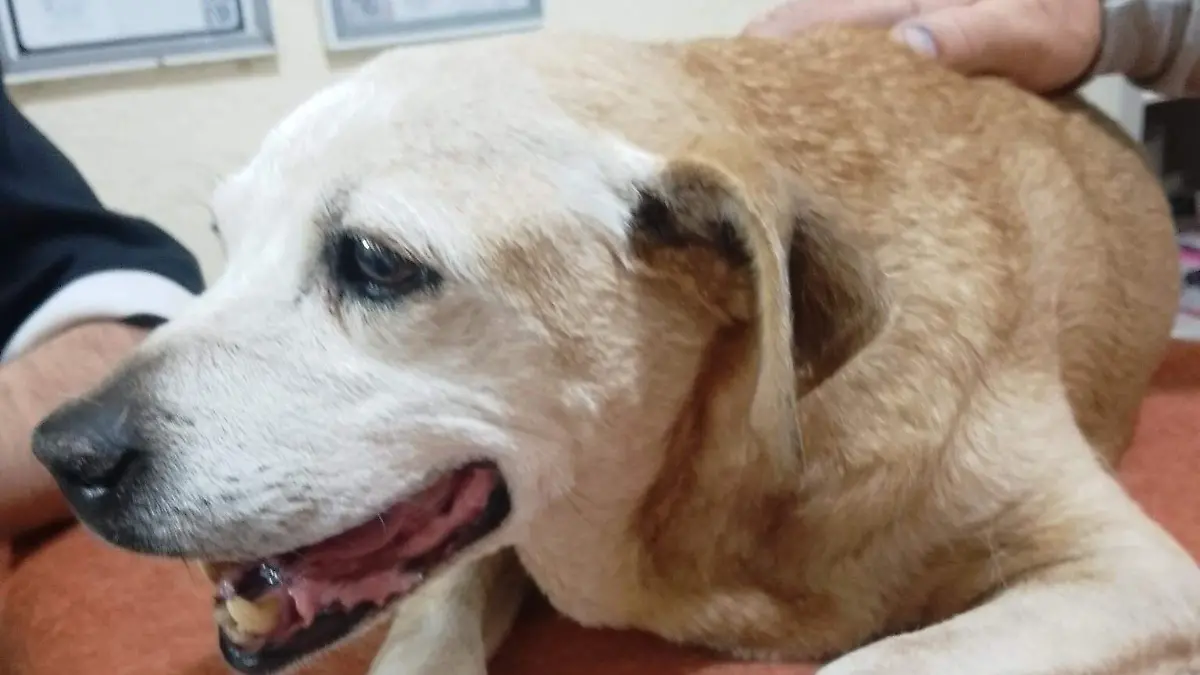 image 2026 03 10T183024.128