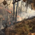 image 2026 03 30T101122.983