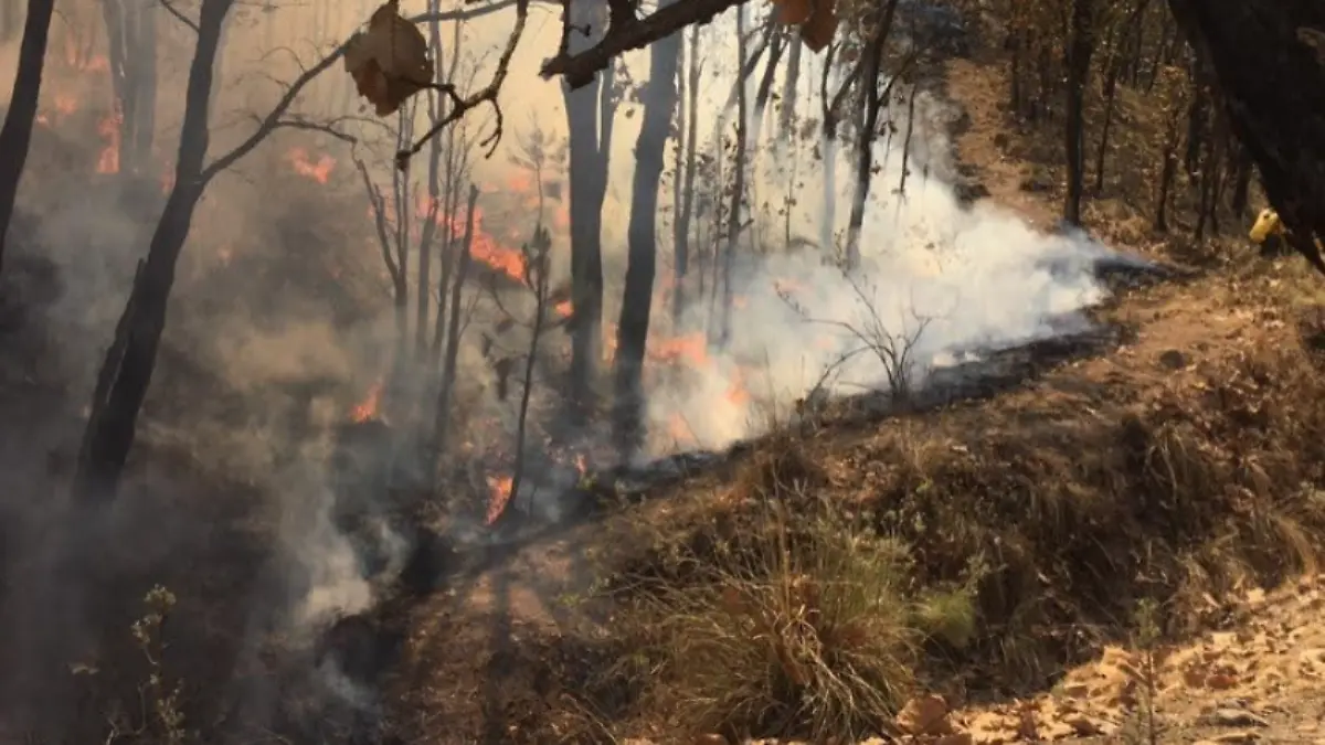 image 2026 03 30T101122.983