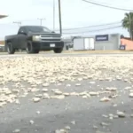 Qué hay detrás de las protestas de productores de frijol en Chihuahua