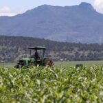 4f1b a9f2 3a0cf9e4bae5 mediarawimage=true