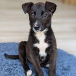 PXL 20220428 164443004.PORTRAIT 800x600