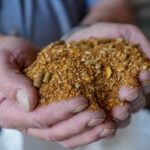 WhatsApp Image 2026 04 01 at 8.41.05 AM