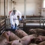 WhatsApp Image 2026 04 06 at 1.50.13 PM