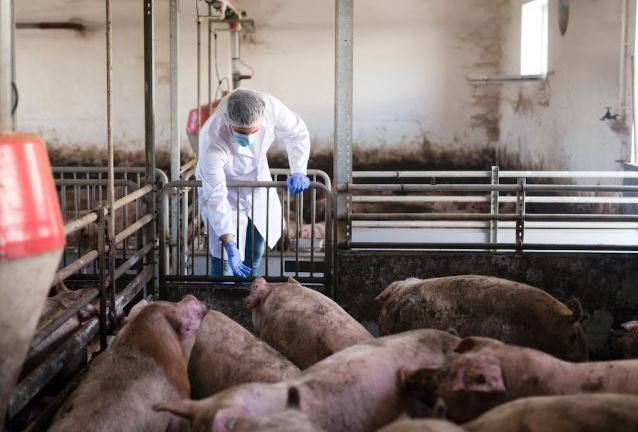 WhatsApp Image 2026 04 06 at 1.50.13 PM