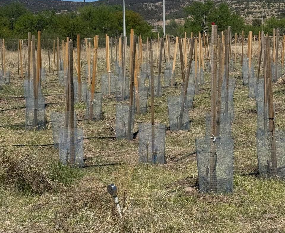 WhatsApp Image 2026 04 08 at 10.22.53 AM