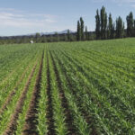 WhatsApp Image 2026 04 10 at 11.24.36 AM