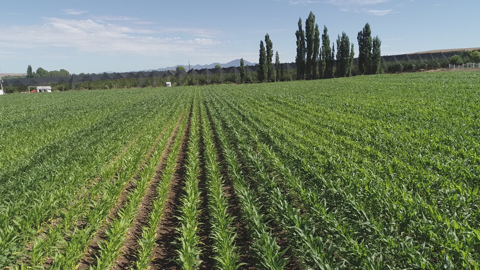 WhatsApp Image 2026 04 10 at 11.24.36 AM