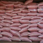 WhatsApp Image 2026 04 11 at 9.20.41 AM