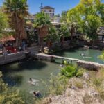 WhatsApp Image 2026 04 13 at 2.49.29 PM