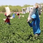 WhatsApp Image 2026 04 14 at 2.00.13 PM