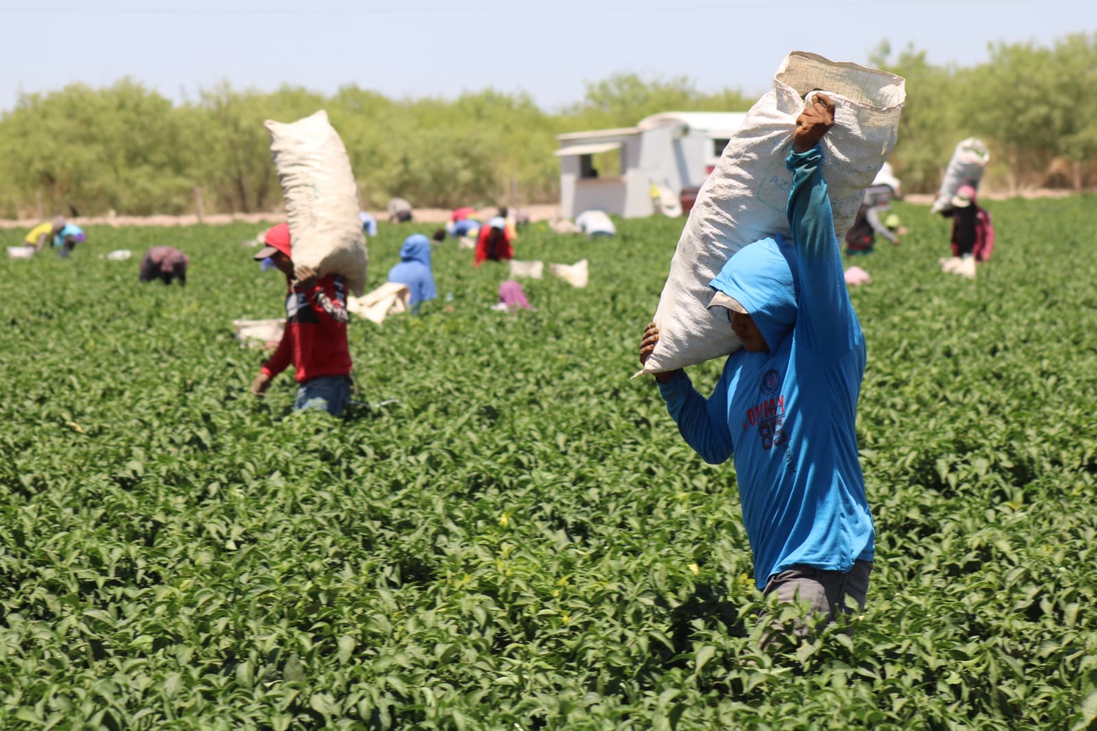 WhatsApp Image 2026 04 14 at 2.00.13 PM