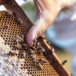 WhatsApp Image 2026 04 19 at 9.28.03 AM