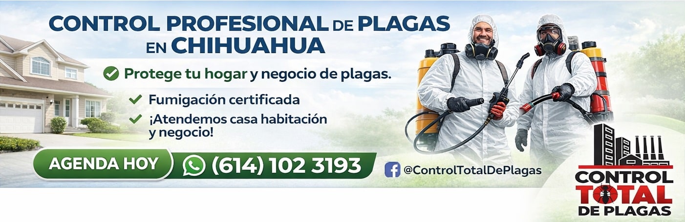 Control profesional de plagas en Chihuahua