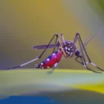 image 2026 04 11T092700.879