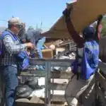 image 2026 04 13T143757.787