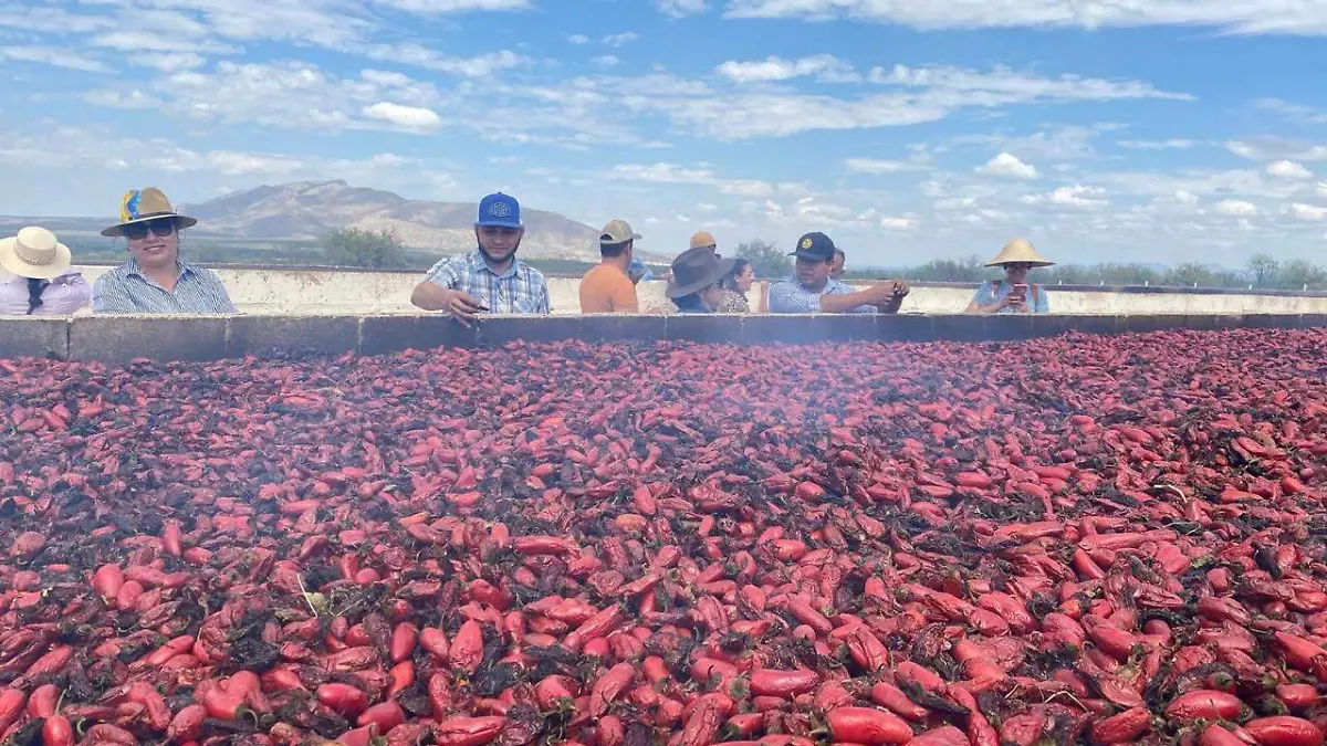 image 2026 04 18T095941.257