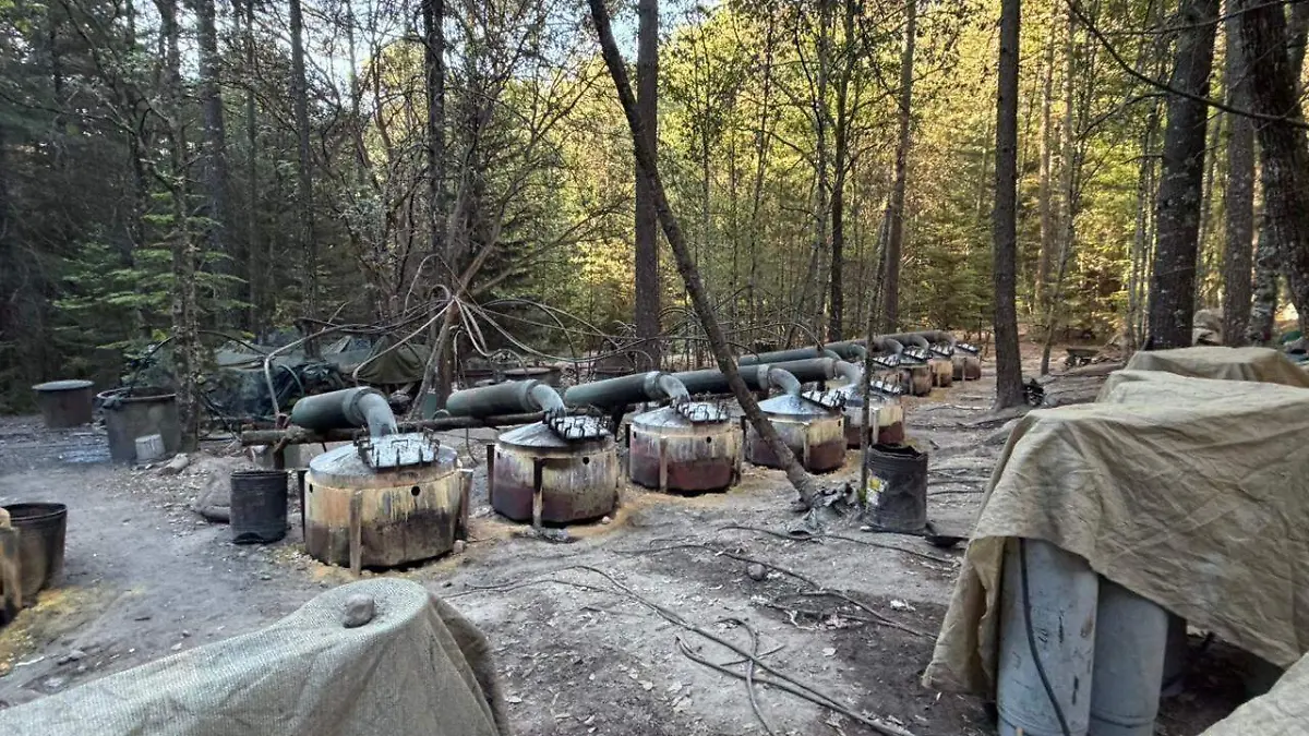 image 2026 04 25T100034.268