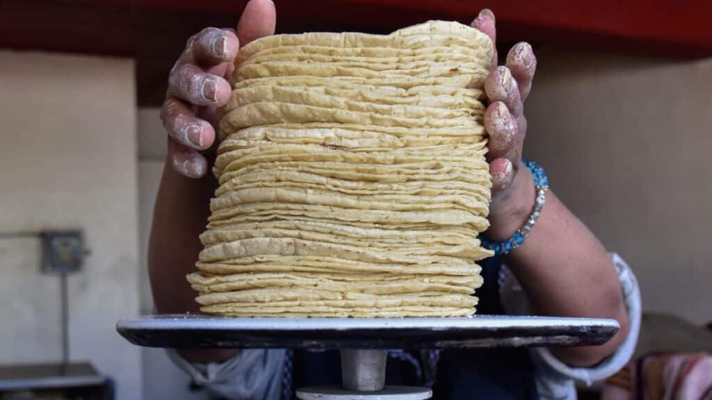 kilo de tortilla llega a 31 pesos en estos estados cual es su costo en agosto 103959 1024x576