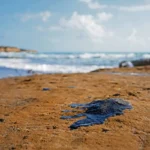 pemex reconoce que fuga en ducto provoco el derrame de hidrocarburo en el golfo de mexico 3aa2aa6c ac87 42c4 bf26 401bdfc564b9 media